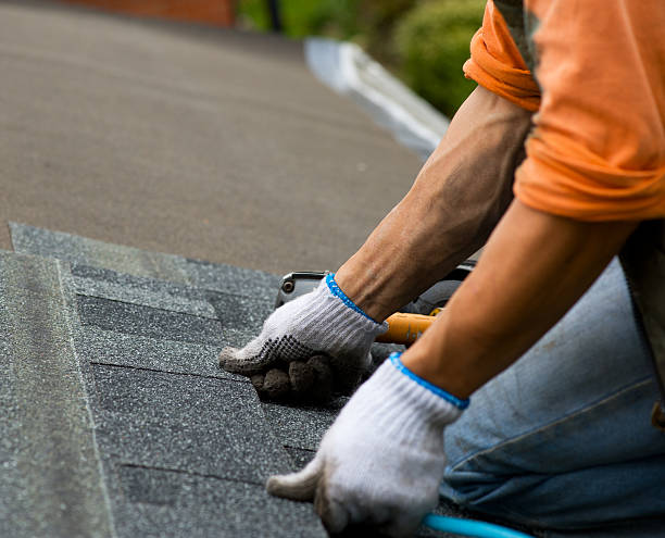 Best Gutter Installation and Roofing  in Scotchtown, NY
